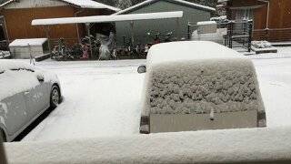 豪雪？1