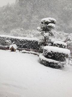 豪雪？2